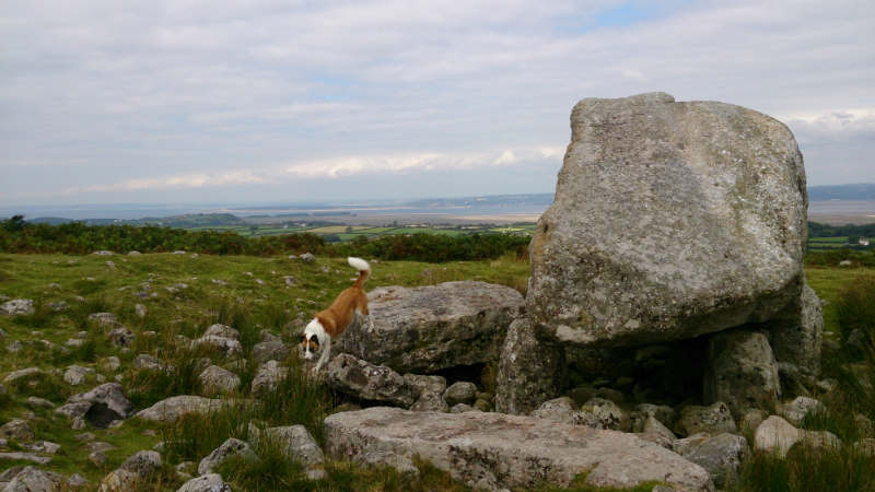 rthur’s Stone, a Neolithic burial site at Cefn Bryn. Hope Cally didn’t find any bones!
