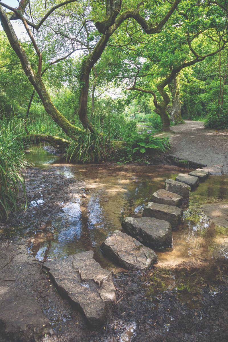 Stepping stones across the stream in St Catherine’s Woods