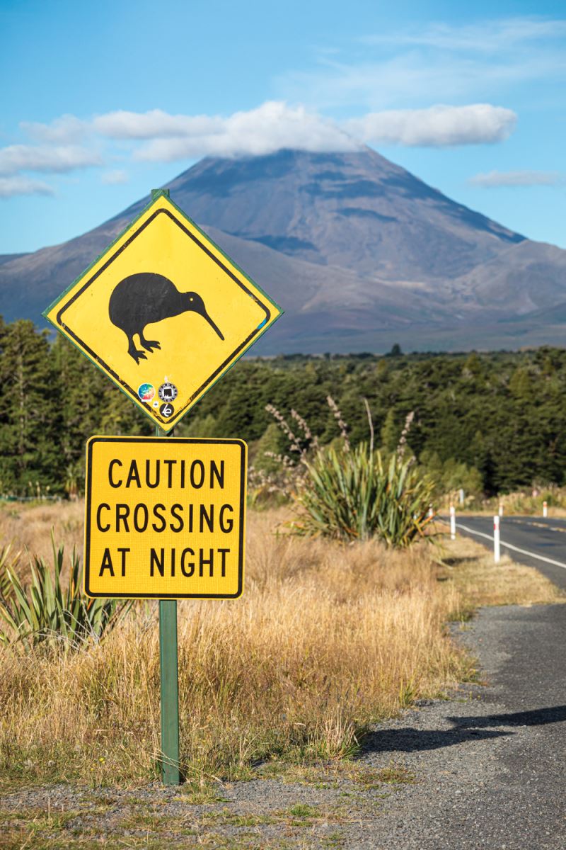 Kiwi warning sign on the road to Tongariro National Park with Mount Ngauruhoe in the distance