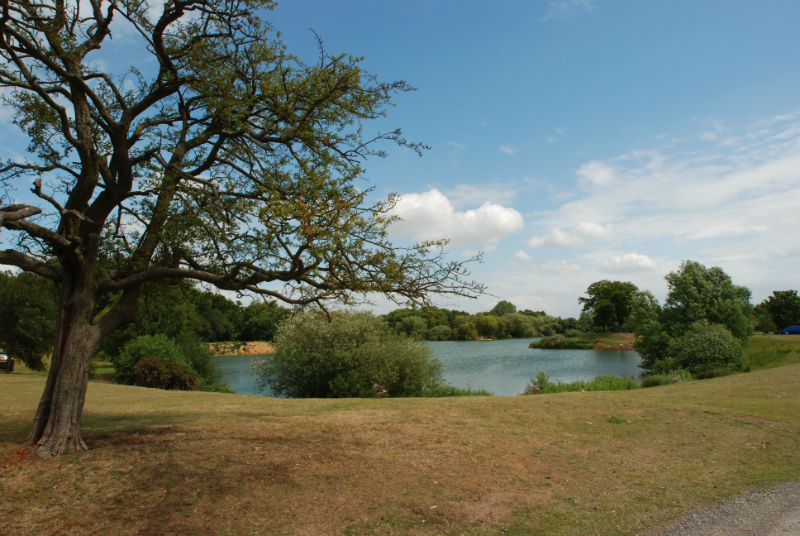 An image of Woodland waters