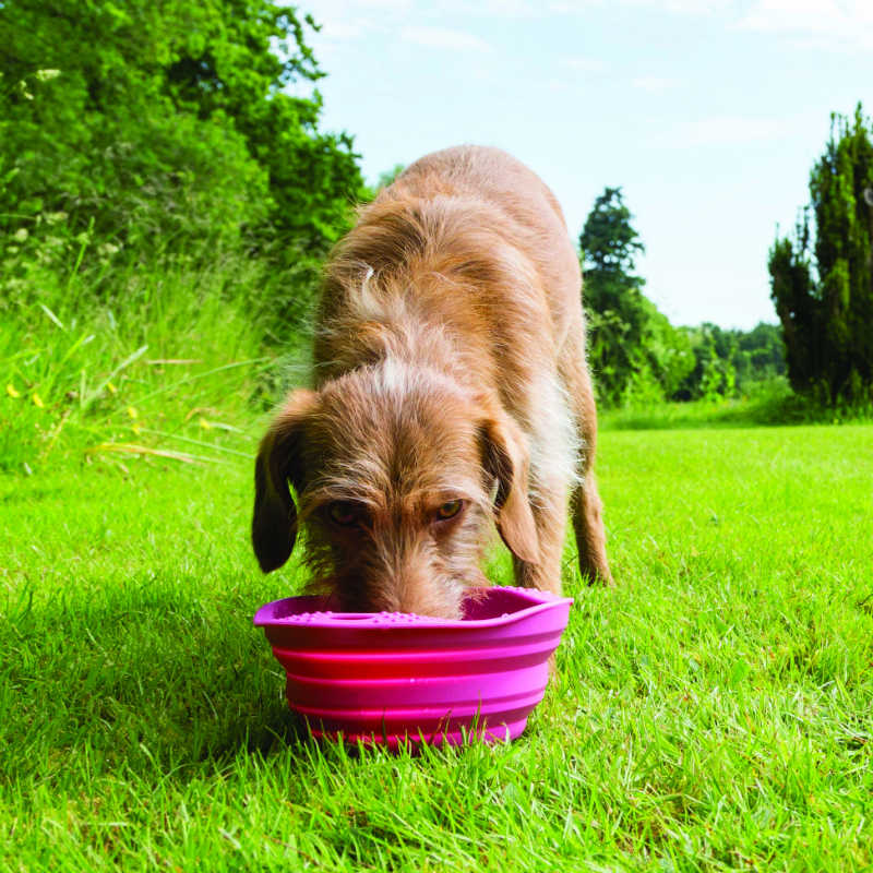 Beco Travel bowl for dogs