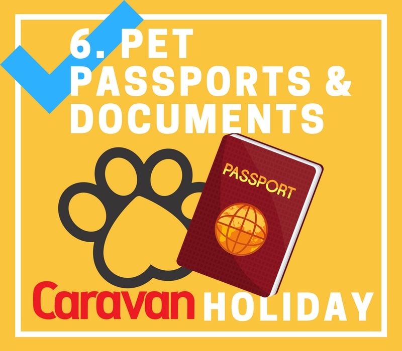 Pet Passports, Documents and Equipment