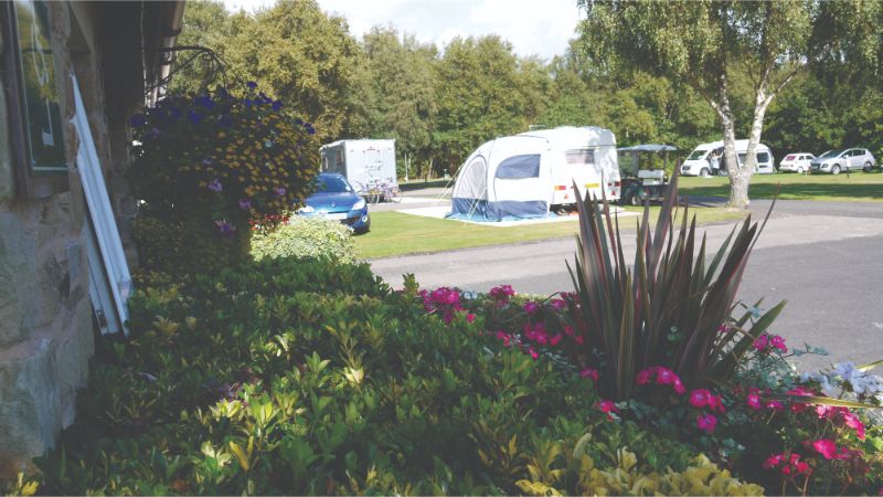 Willowbank Holiday Home & Touring Park