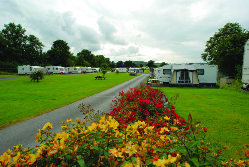 Erwlon Caravan and Camping Park