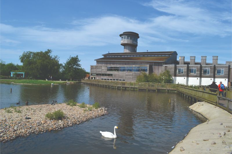 Wetlands Trust Centre at Slimbridge