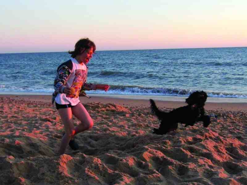 boy and dog on beach