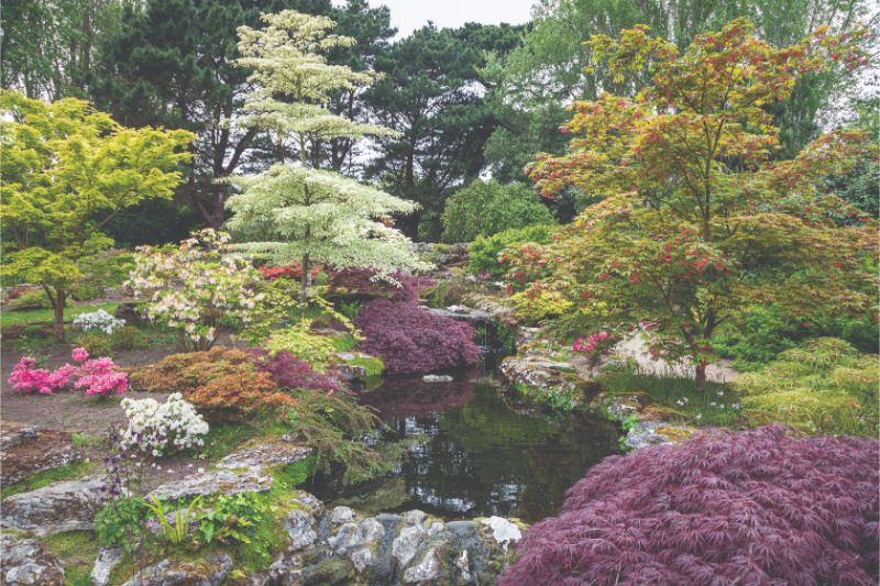 The Japanese garden at Samares Manor