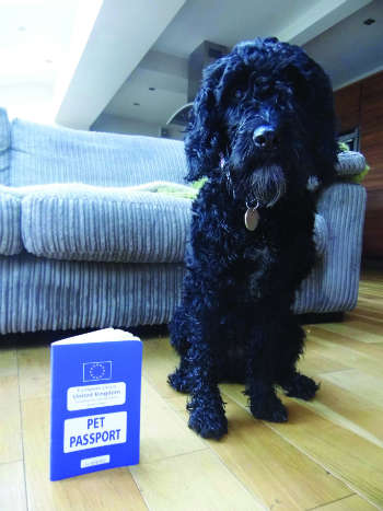 Olga with her dog passport