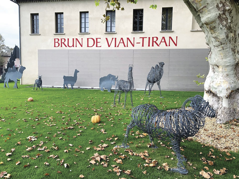 Brun de Vian-Tiran