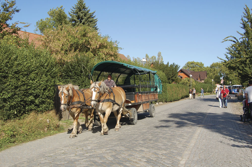 A horse-drawn carriage in the artist's village at Cape Arkona