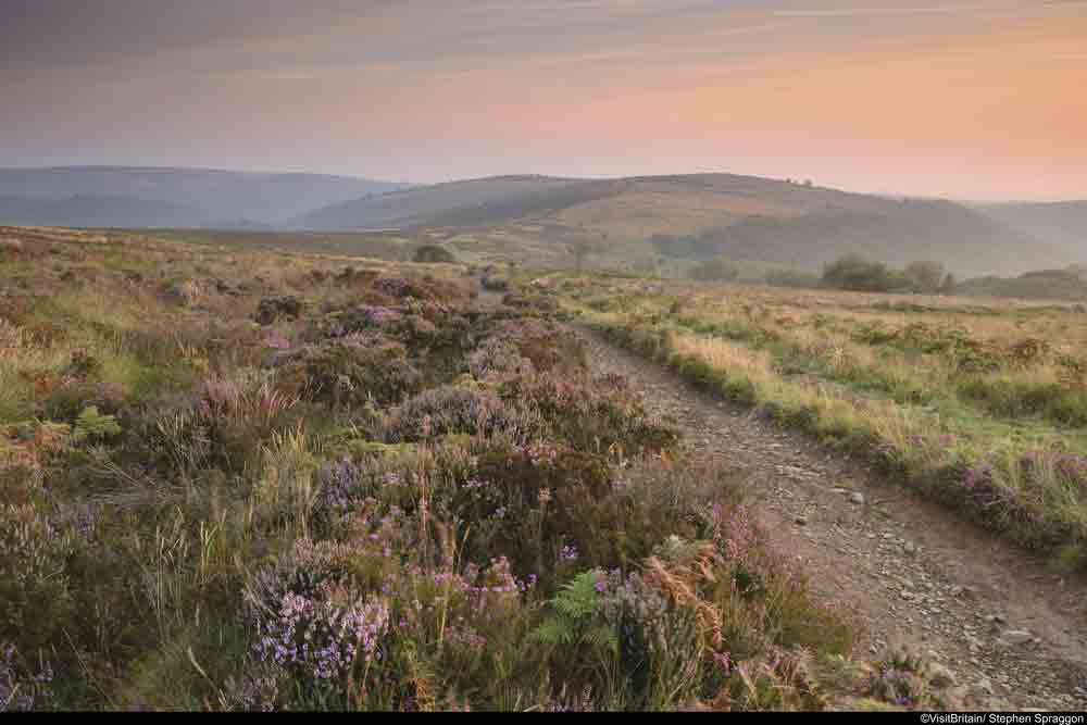 Image of the countryside around the Quantock Hills, Somerset
