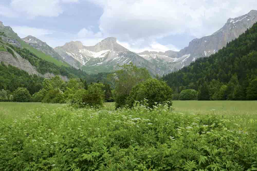 Image of the Jarjatte Valley in France