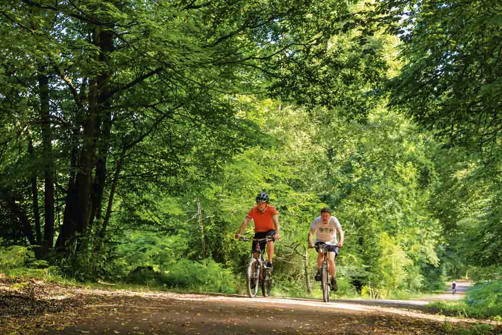 Images of cyclists riding Family Cycle Trail in Forest of Dean