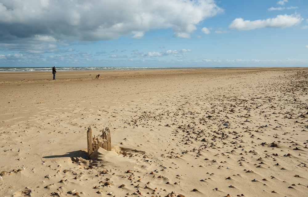 We have the beach at Holkham all to ourselves