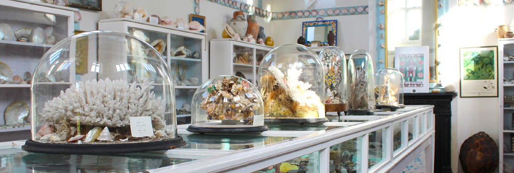 Shell Museum has shells of every shape and colour imaginable