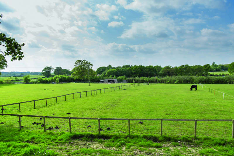 Organford Manor fields