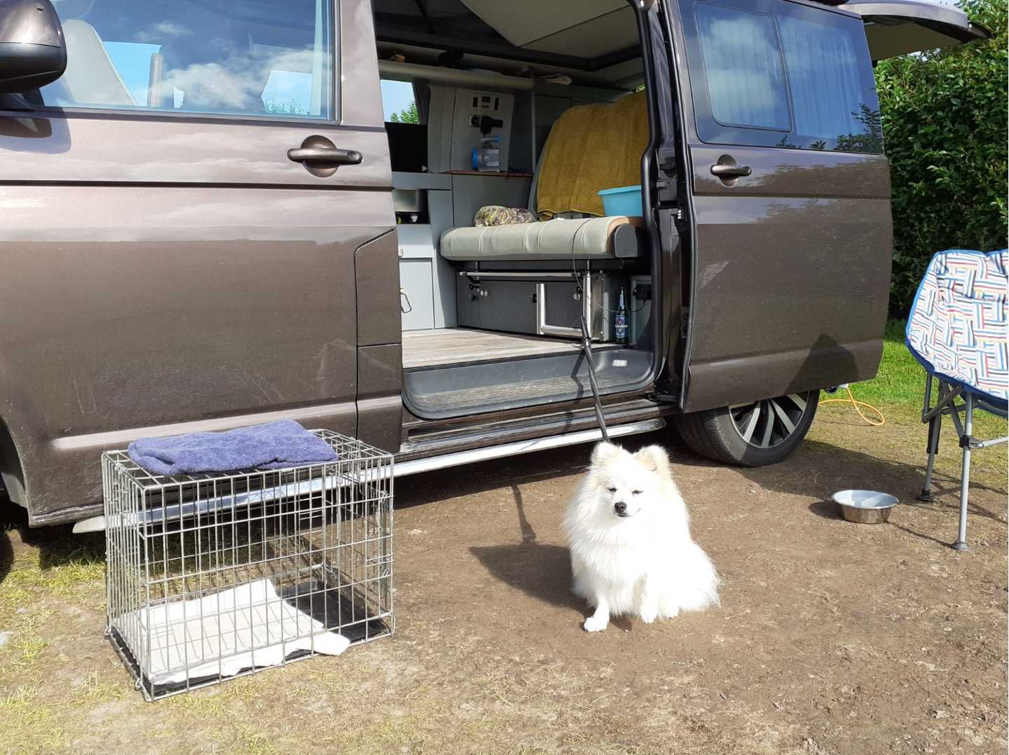 A dog with a crate by a campervan