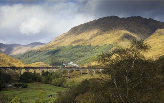 Train passing over the Glenfinnan Viaduct