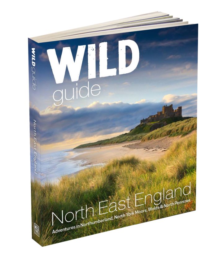 Wild Guide: North East England