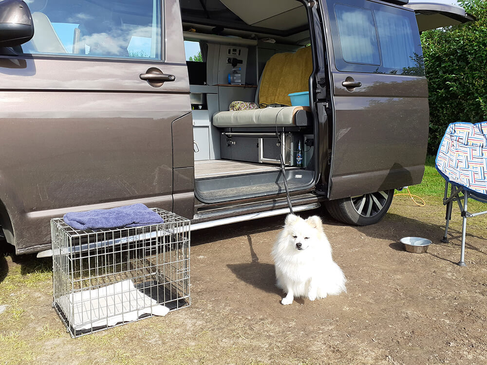 Motorhoming with dogs