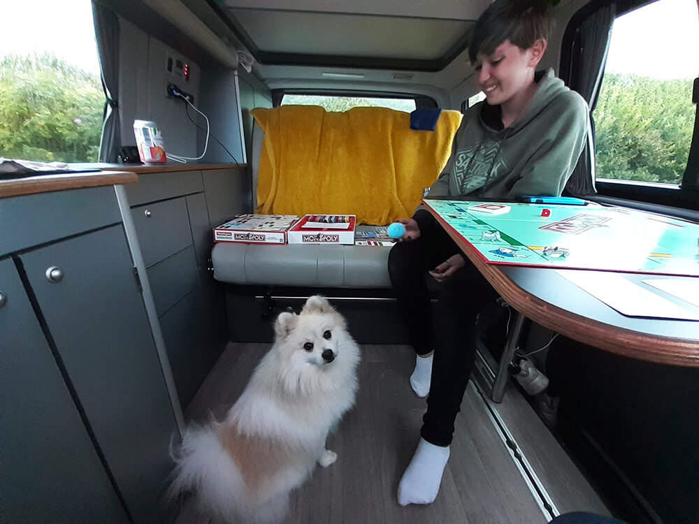 Looking after a dog in a motorhome