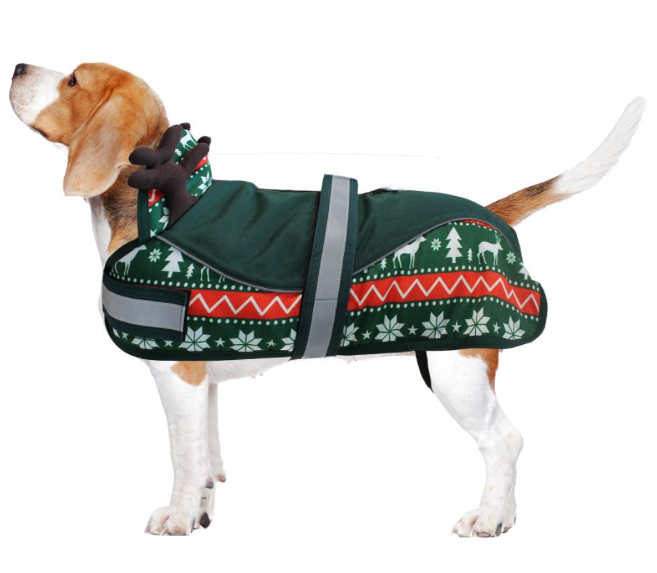Festive Dog Coat