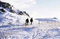 Enjoy a winter walk Enjoy a winter walk