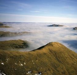 Red Screes Red Screes
