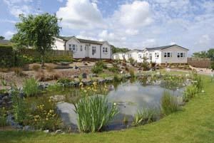 Willow View
