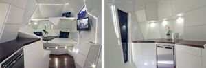 Mehrzeller multicellular caravan