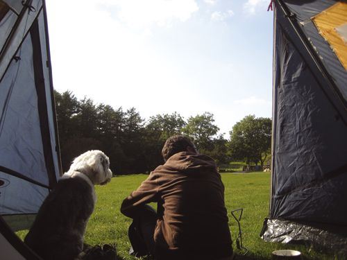 Camping with dogs is great fun for both of you Camping with dogs is great fun for both of you