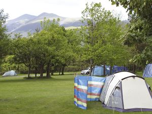 Windbreaks Windbreaks