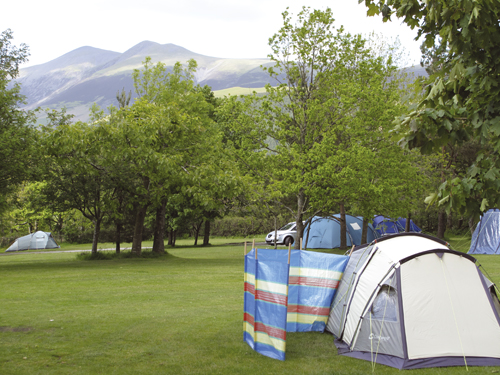 Windbreaks