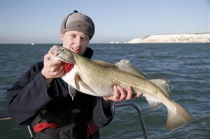 Cod Cod