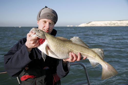Cod