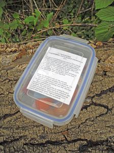 geocaching geocaching