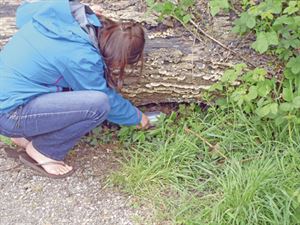 geocaching geocaching