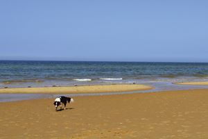 Holkham beach 