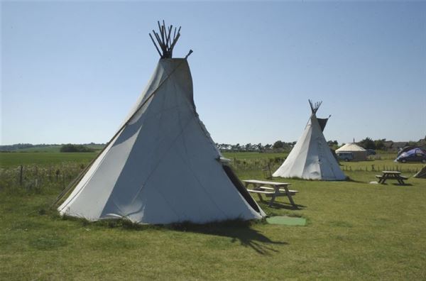 Scamper, champer or tramper. Which type of camper are you? Scamper, champer or tramper. Which type of camper are you?