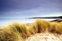 Studland beach