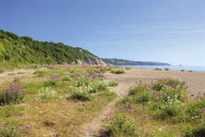 Slapton Sands Slapton Sands