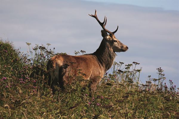 Motorhome travel: Outer Hebrides