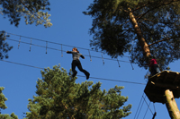 Go Ape
