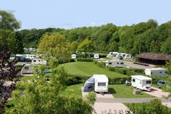 Dornafield