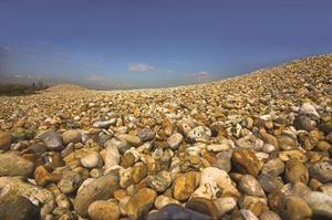 Dungeness reserve
