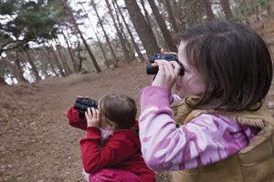 Wildlife spotting
