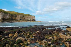 Flamborough Cliffs
