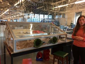 Behind the scenes at Berghaus HQ