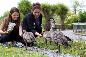 Slimbridge Wetland Centre