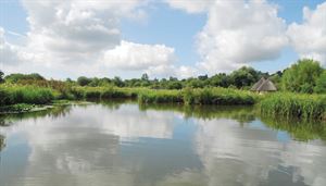 Arundel Wetland Centre